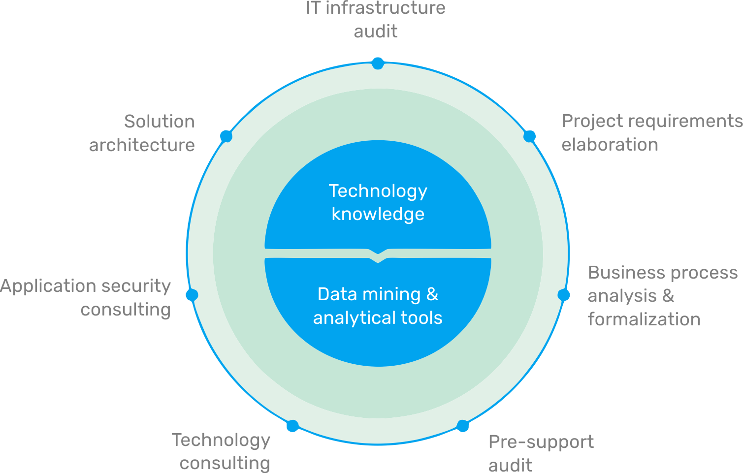 Software Consulting